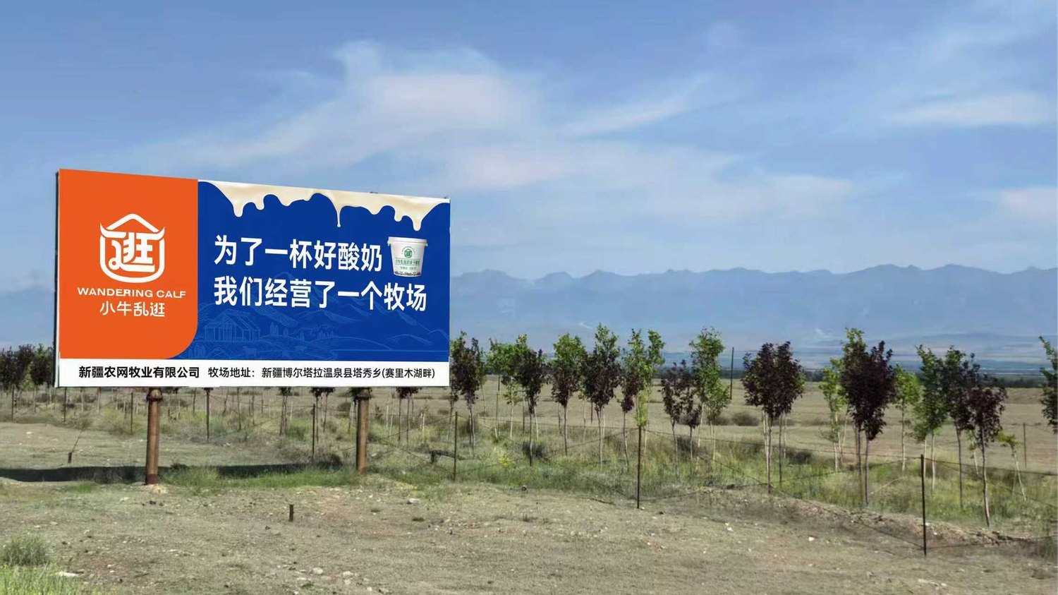 赛里木湖畔
