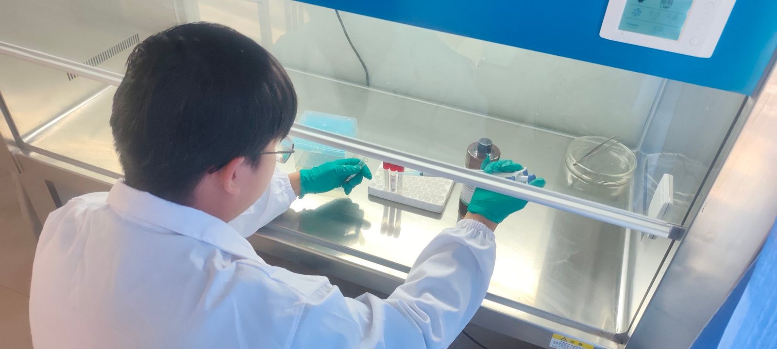 检验人员在生物安全柜内操作试管与培养皿