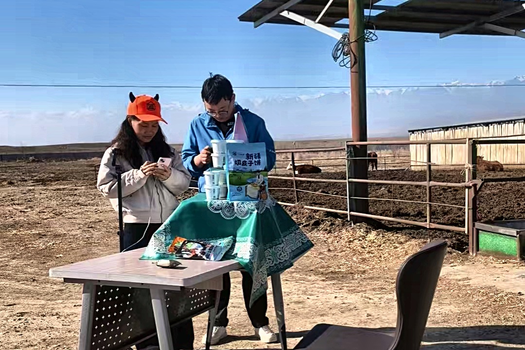 李妍到温泉县塔秀乡的小牛乱逛牛场做直播，在摊位前（左）核对货品。