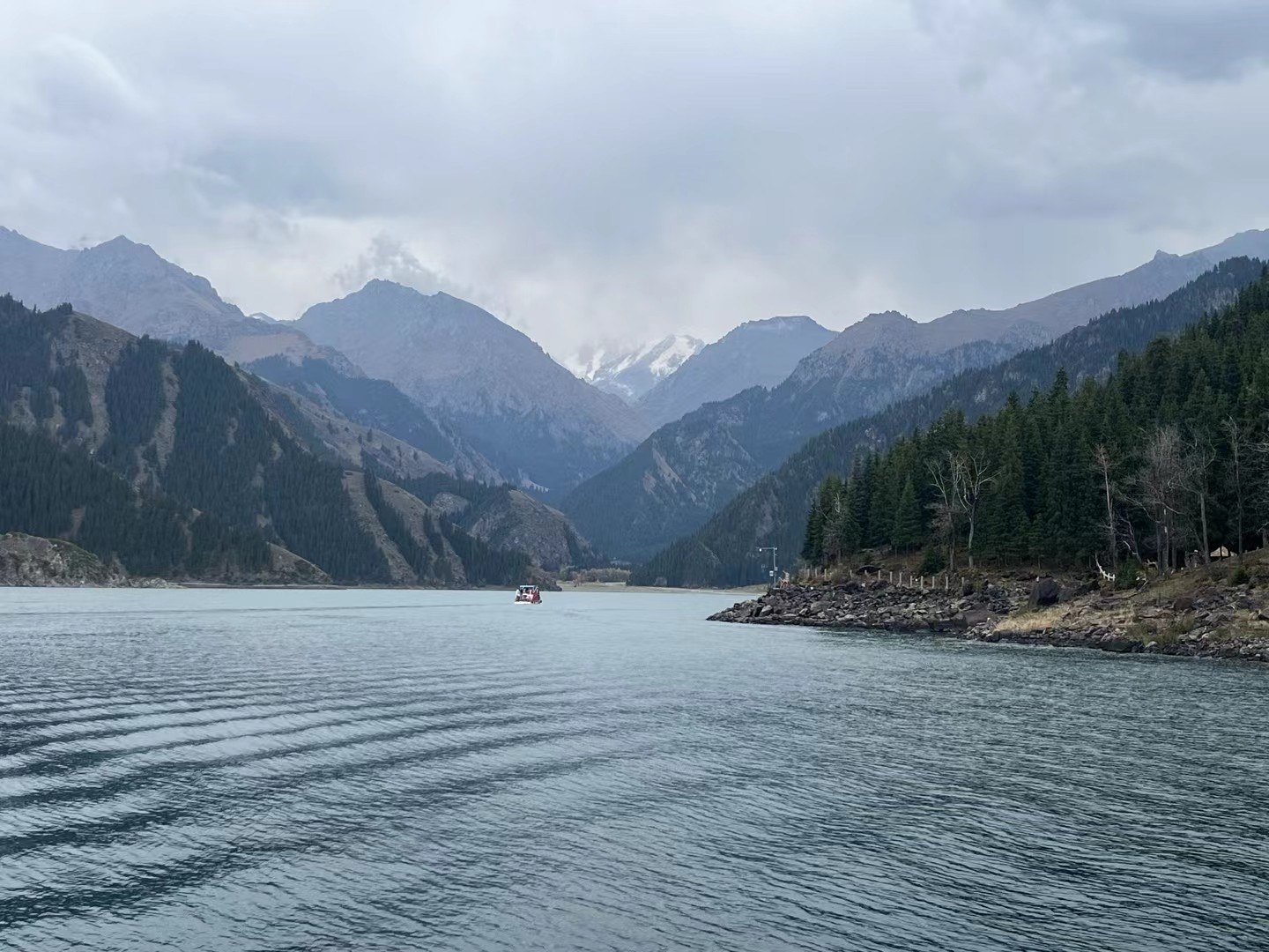 阴天的天池湖面，云杉沿湖岸排列。