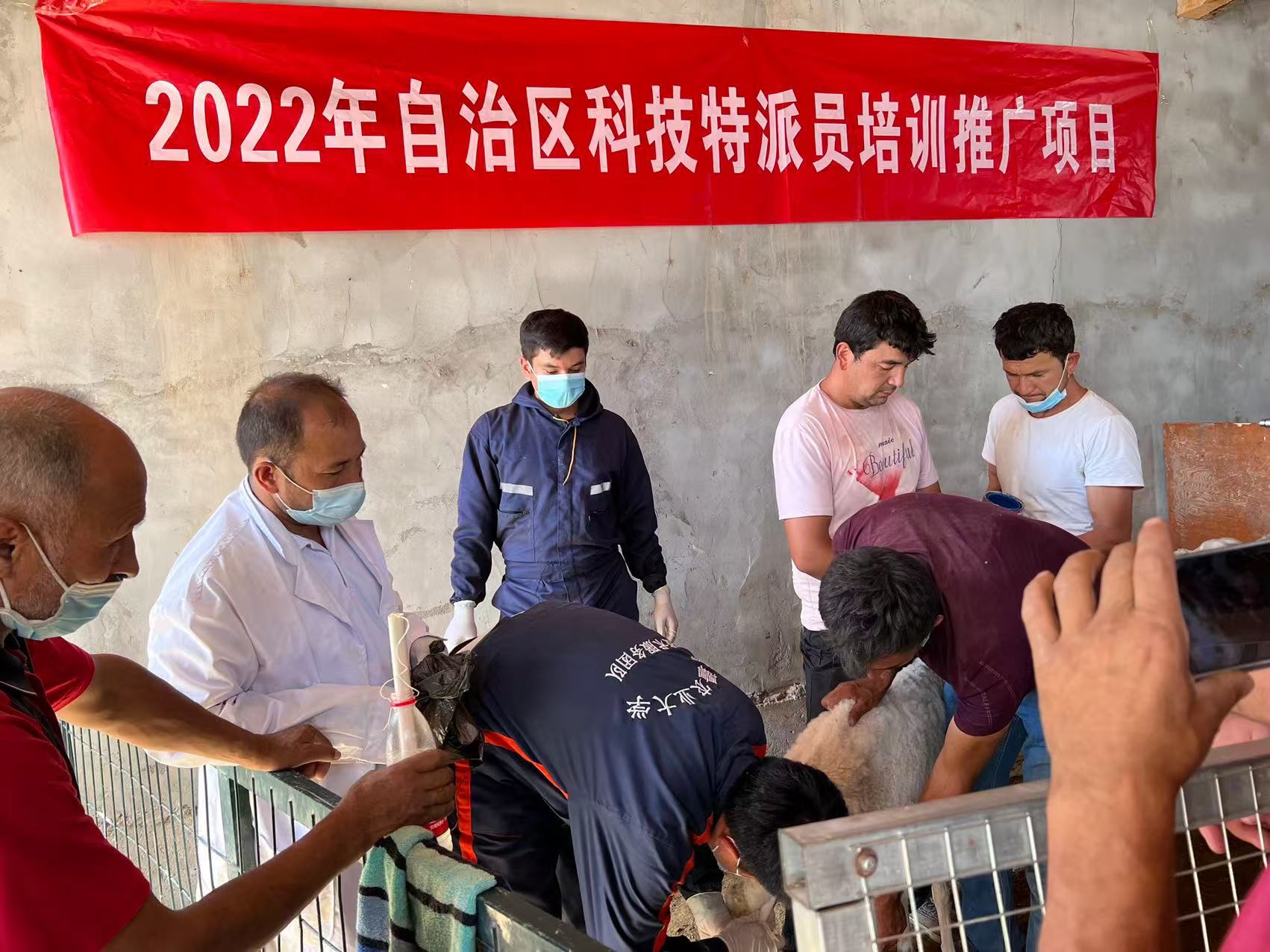 2022年自治区科技特派员培训推广项目现场。