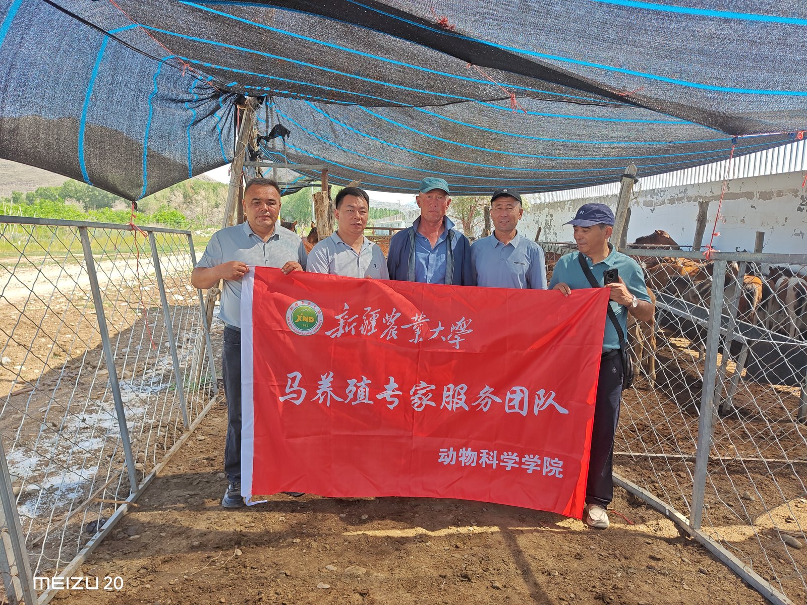 新疆农业大学马养殖专家服务团队（动物科学学院）。